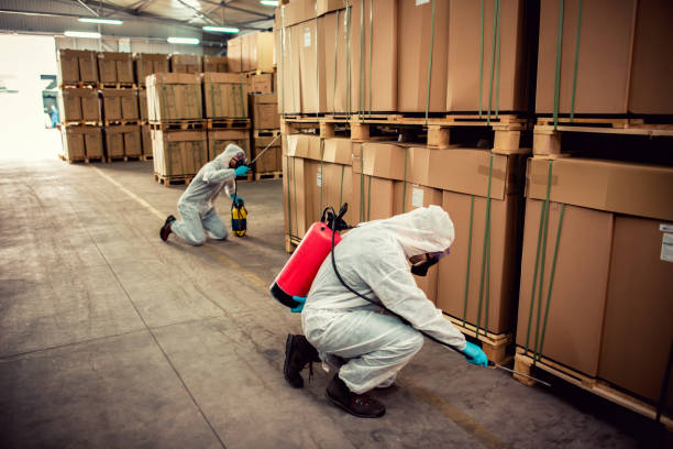 Best Termite Control Services  in Wetumpka, AL