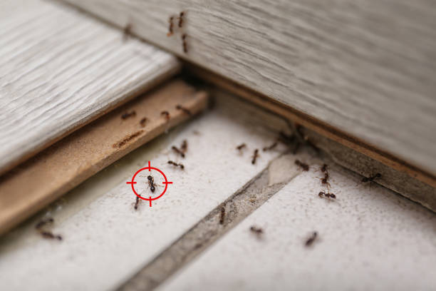 Best Flea Control Services  in Wetumpka, AL