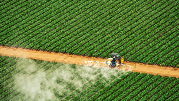 Best Commercial Pest Control Services  in Wetumpka, AL