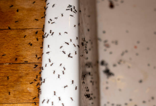 Wetumpka, AL Pest Control Company