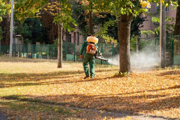 Best Affordable Pest Control Services  in Wetumpka, AL