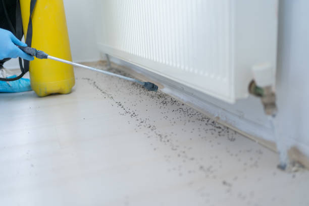 Pest Control Cost in Wetumpka, AL